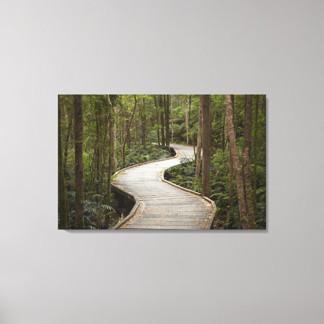 Boardpromenad till Nelson Falls, Franklin - Gordon Canvastryck (Framsida)