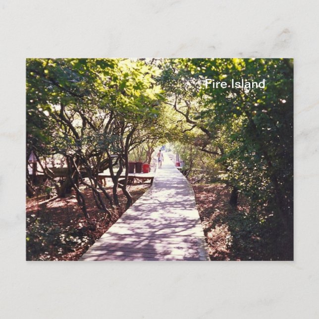 Boardpromenad vid Davis Park på Fire Is. Vykort (Framsida)