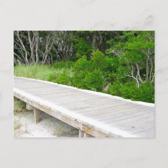 Boardpromenat i Davis Park Vykort (Framsida)