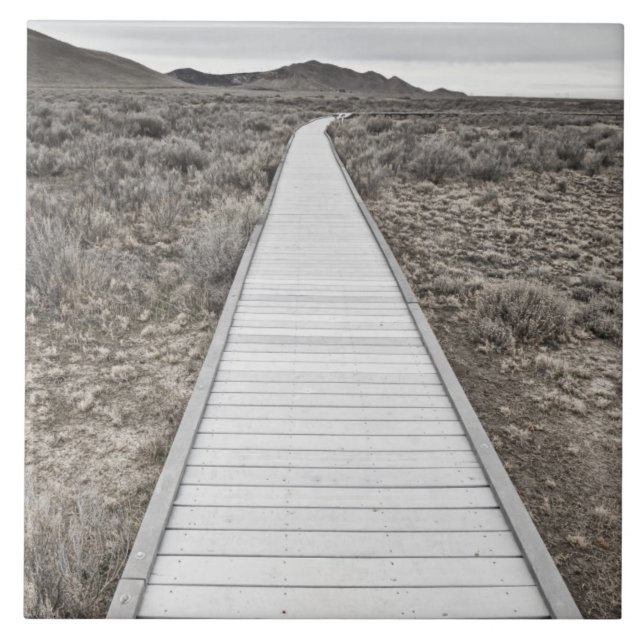 Boardwalk till och med öknen kakelplatta (Framsidan)