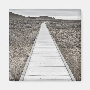 Boardwalk till och med öknen magnet