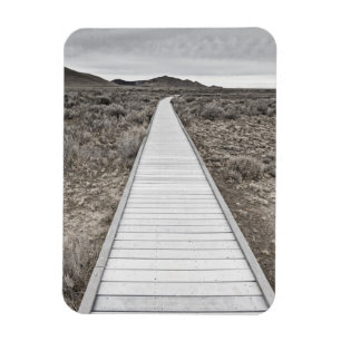 Boardwalk till och med öknen magnet