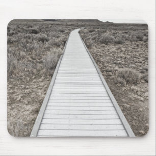Boardwalk till och med öknen musmatta