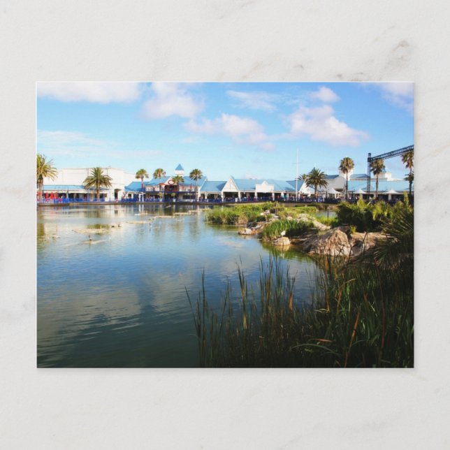 Boardwalken på Port Elizabeth Vykort (Framsida)