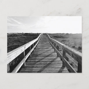 Boardwalking Walking Trail Florida Vykort