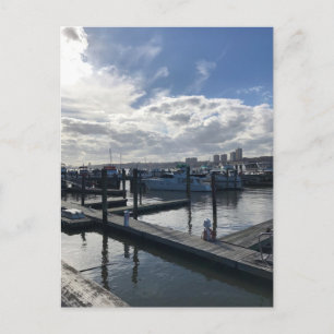 Boat Basin, Riverside Park New York City NYC Photo Vykort