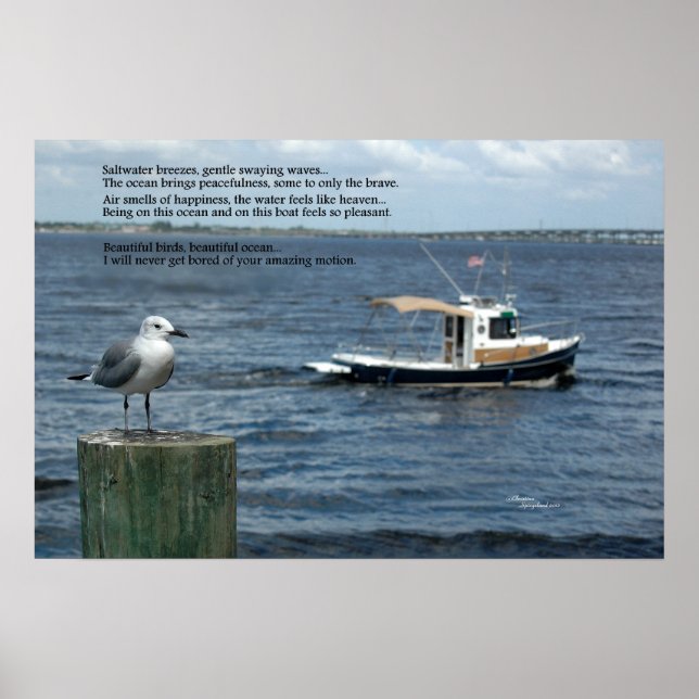 Boat Sea Fiskmås Dikt Poetry Poster (Framsidan)