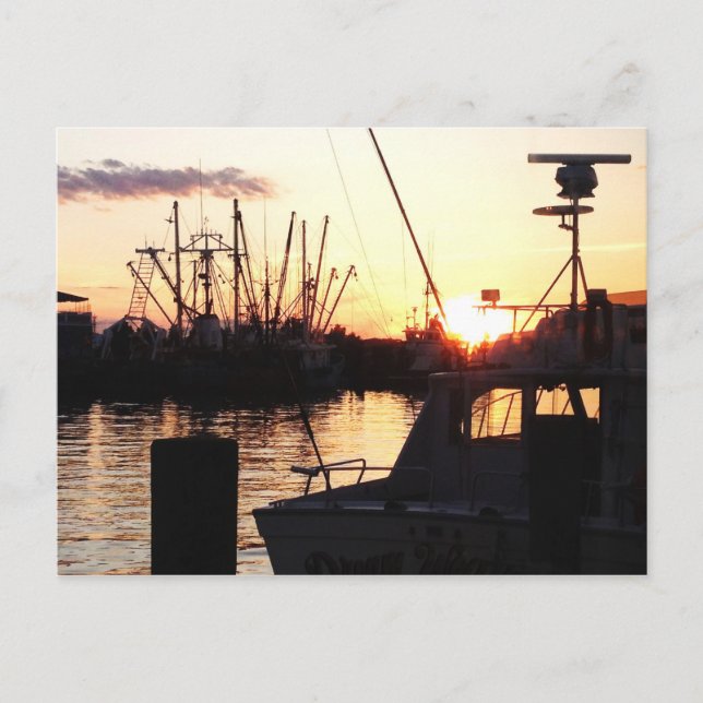 Boats vid Sunset Vykort (Framsida)