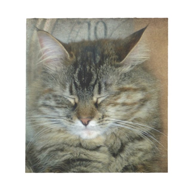 Bob Anteckningsblock (Framsida)