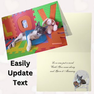 Bob Cats Purrect Ord Valentine Card Kort