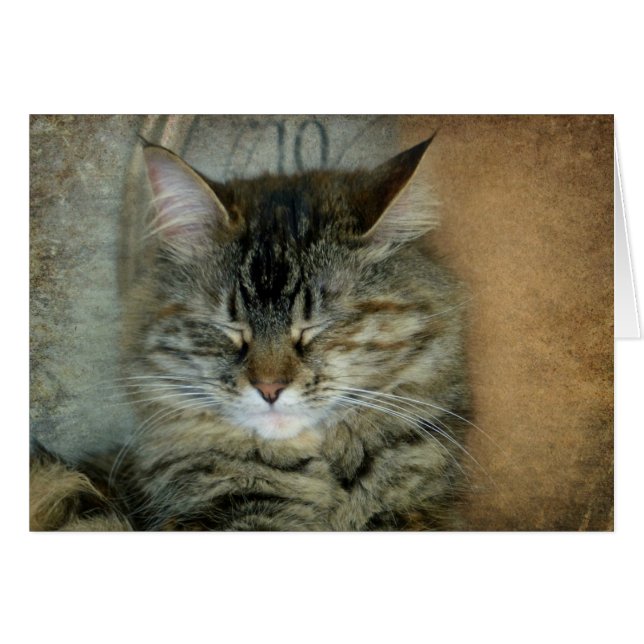 Bob Hälsningskort (Framsidan Horizontal)