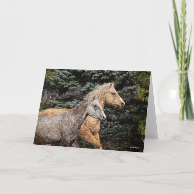 Bob Langrish | 2 Bashkir Curly Horses Headshot Kort (Framsida)