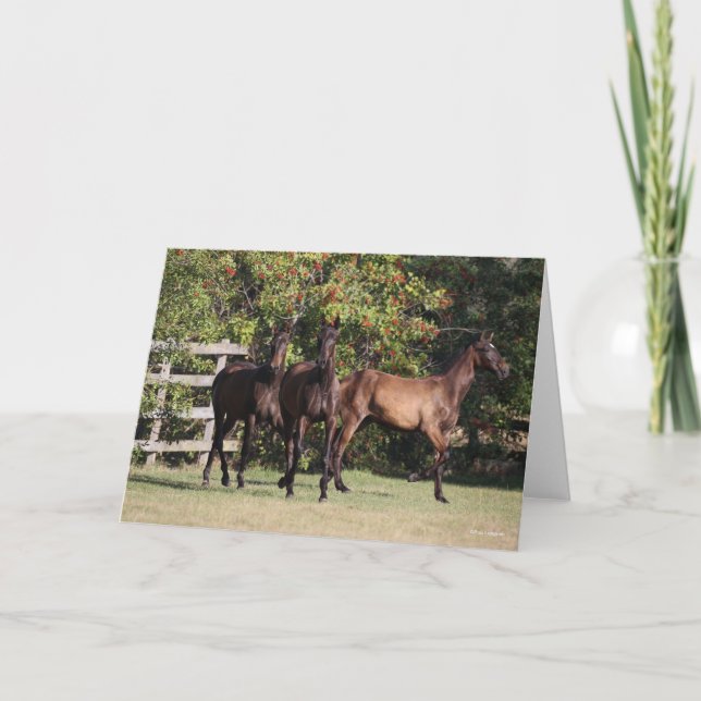 Bob Langrish | 3 Andalucian Youngsters Standing Kort (Framsida)