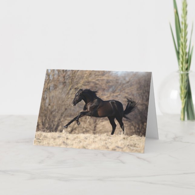 Bob Langrish | Andalusien Running Kort (Framsida)