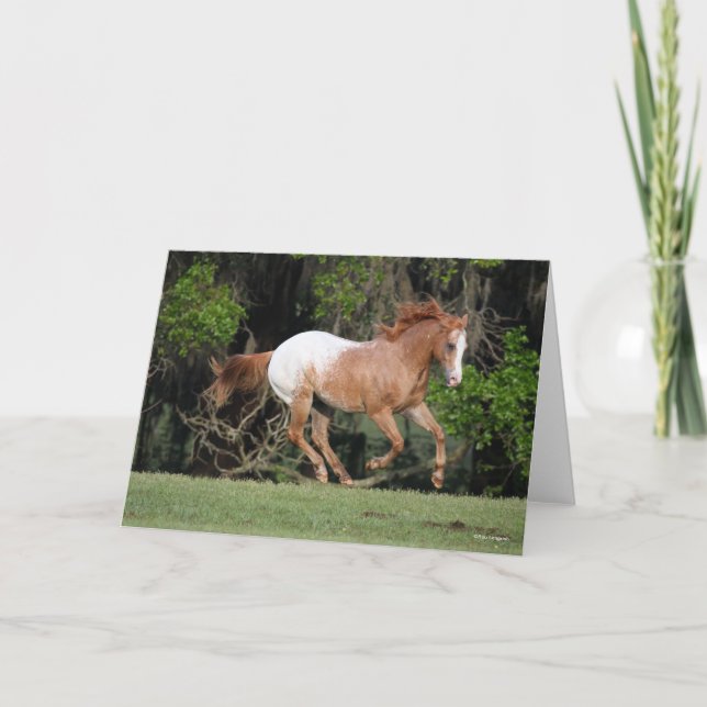 Bob Langrish | Appaloosa Running Kort (Framsida)