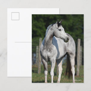 Bob Langrish Äpple Grått Quarter Horse Permanent Vykort