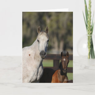 Bob Langrish Arab Mare and Foal Ständiga Headshot Kort