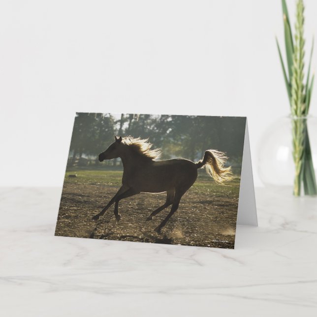 Bob Langrish | Arabisk bakgrundsbelysning Kort (Framsida)