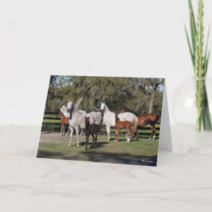 Bob Langrish Arabiska Mares and Foals Kort