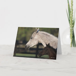 Bob Langrish   Arabmalm och fotbolls-EM Kort