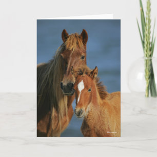 Bob Langrish Banker Pony Mare and Foal Headshot Kort