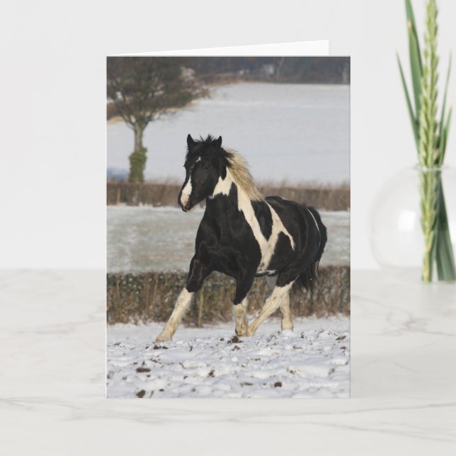 Bob Langrish Black and White Welsh Cob i Snö Kort (Framsida)