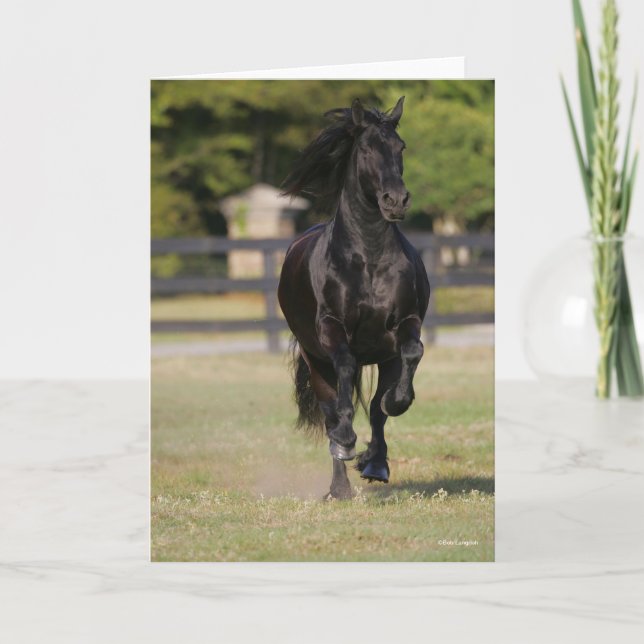 Bob Langrish | Black Friesian Horse Running Kort (Framsida)
