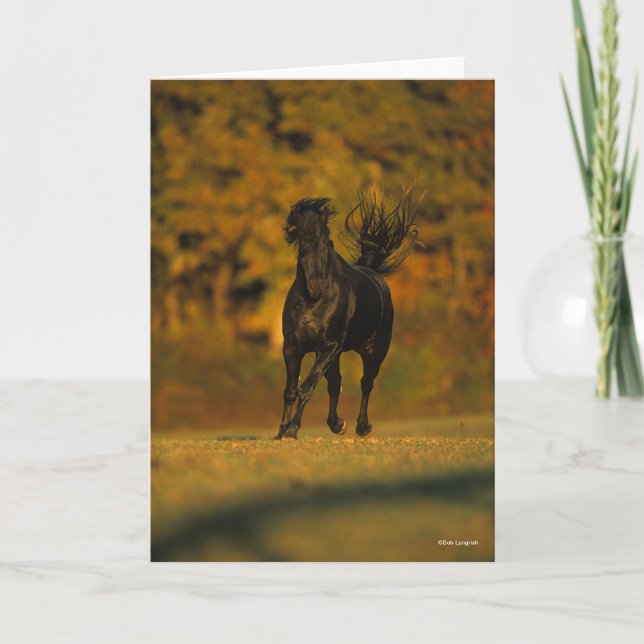 Bob Langrish | Black Friesian Running In Autumn Kort (Framsida)