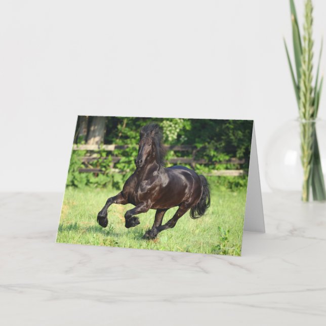 Bob Langrish | Black Friesian Running Kort (Framsida)