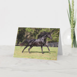 Bob Langrish Black Lusitano Running Kort