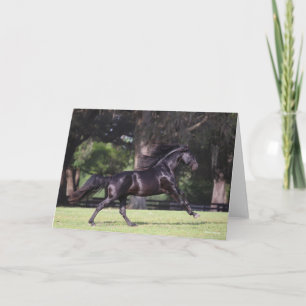 Bob Langrish Black Lusitano Running Kort