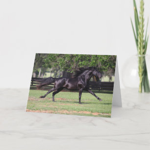 Bob Langrish   Black Lusitano Running Mane Flowing Kort
