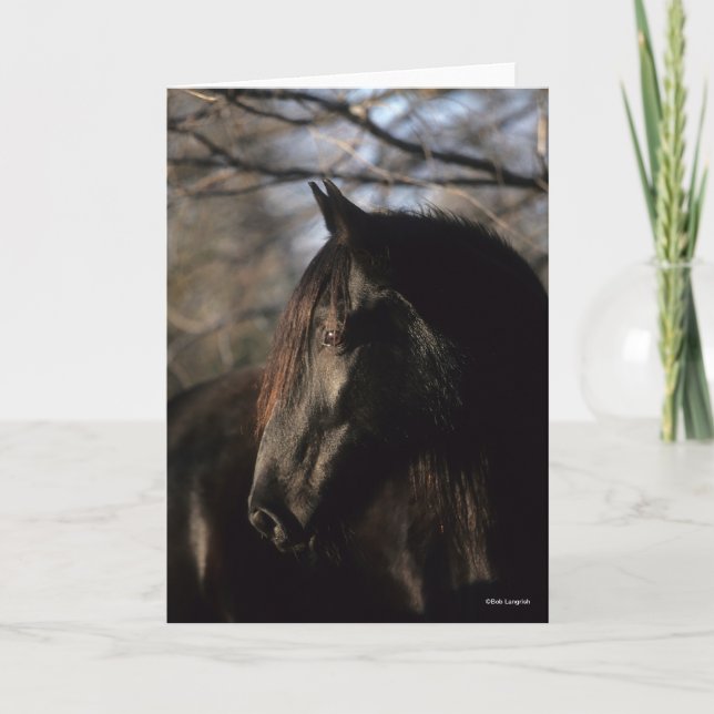 Bob Langrish | Black Tennessee Walker Headshot Kort (Framsida)