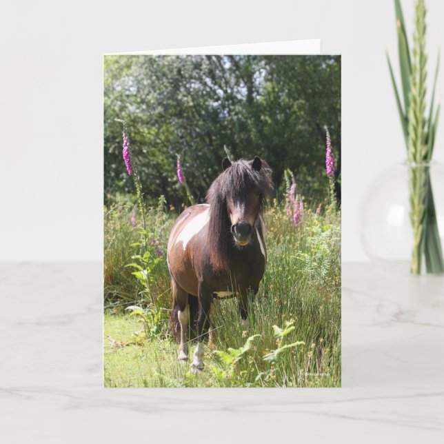 Bob Langrish | Blommor i Shetland Pony Kort (Framsida)