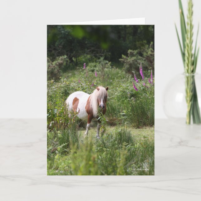 Bob Langrish | Blommor i Shetland Pony Kort (Framsida)