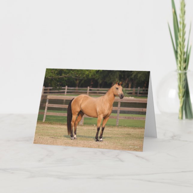 Bob Langrish | Buckskin Quarter Ställande Kort (Framsida)