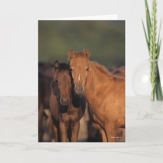 Bob Langrish Caspian Pony Foals står ihop Kort (Framsida)