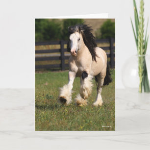 Bob Langrish Champagne Färg Gypsy Vanner Running Kort