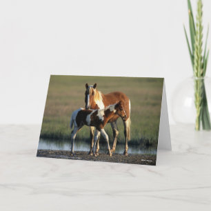 Bob Langrish Chincoteague Mare and Foal Permanen Kort
