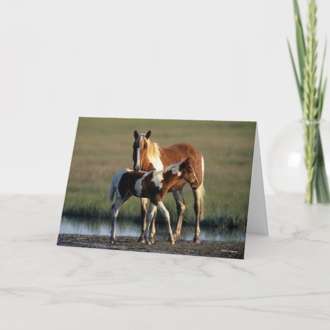 Bob Langrish | Chincoteague Mare and Foal Permanen Kort (Framsida)