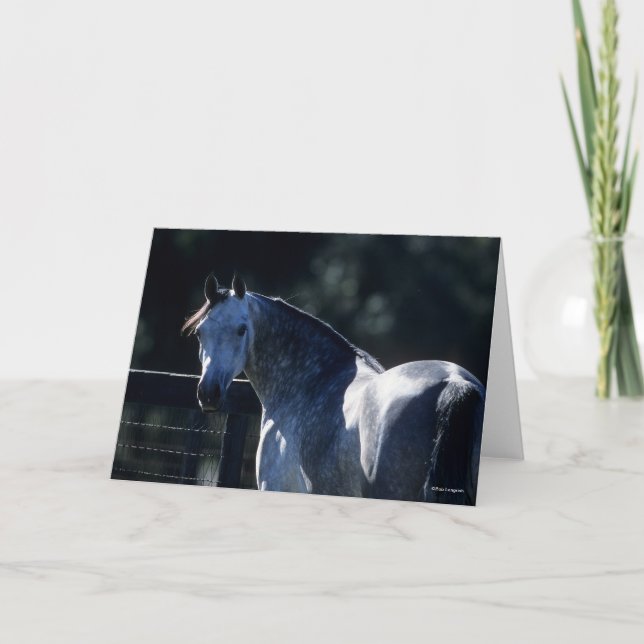 Bob Langrish | Dubbelsidig bakgrundsbelyst Grått-a Kort (Framsida)