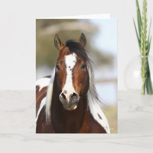 Bob Langrish Färgstallion Headshot Kort