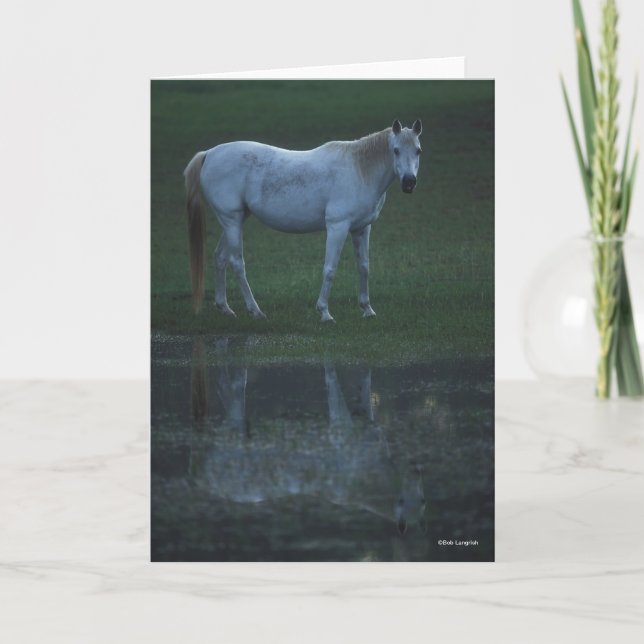 Bob Langrish Grey Arab Standing By Pond Reflection Kort (Framsida)