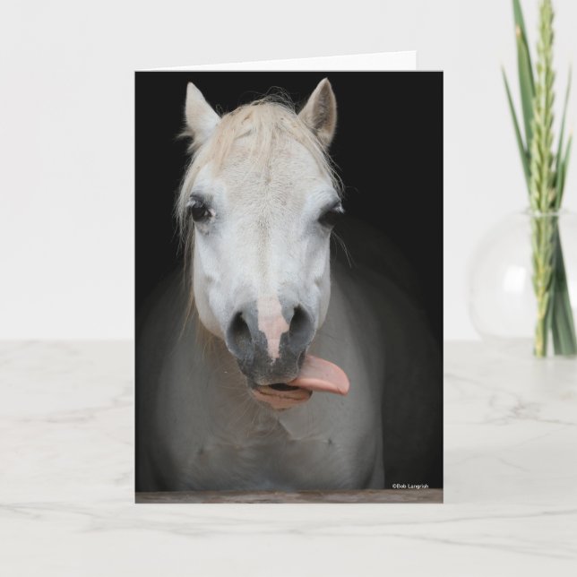Bob Langrish | Grey Welsh Pony Tongue Out Headshot Kort (Framsida)