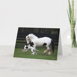 Bob Langrish Gypsy Vanner och Hund Rungether Kort