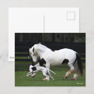Bob Langrish Gypsy Vanner och Hund Rungether Vykort