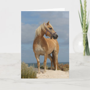 Bob Langrish Haflinger Ställande vid persikor Kort
