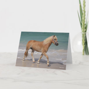 Bob Langrish Haflinger Walking on the Beach Kort