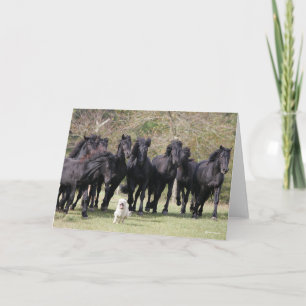 Bob Langrish Herd Black Meren Horses and Hund Kort