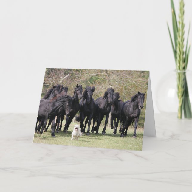 Bob Langrish | Herd Black Meren Horses and Hund Kort (Framsida)